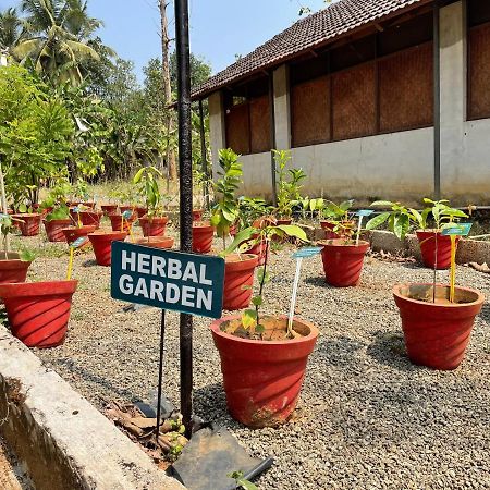 Ayuryogashram Heritage Thrissur エクステリア 写真