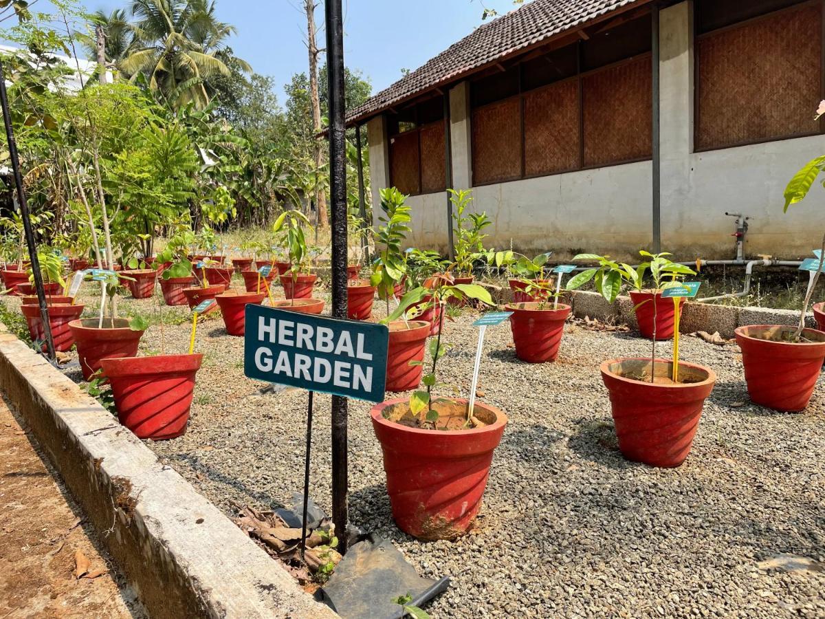 Ayuryogashram Heritage Thrissur エクステリア 写真