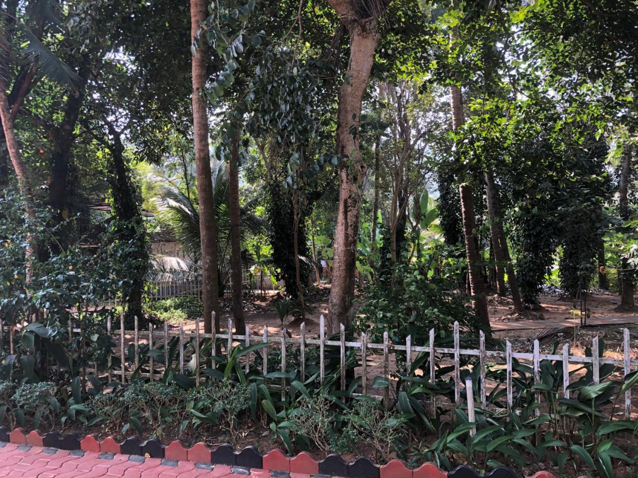 Ayuryogashram Heritage Thrissur エクステリア 写真